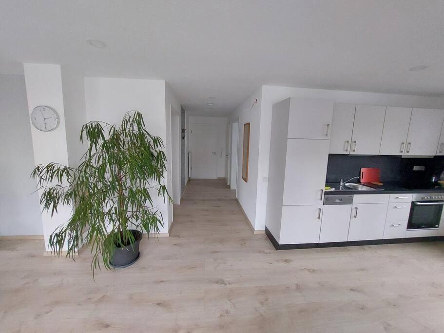 Ferienwohnung Koenigsquelle Bad Wildungen Kültér fotó